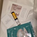 데이지 | 디자이너 브랜드 원피스 대여 데이지모먼트 2부드레스 후기