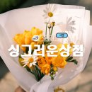 싱그러운상점