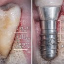 e웰니스치과의원 이미지