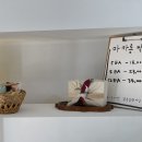 모과아래 이미지