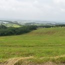 용비농장 이미지