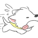 루이 펫 살롱 이미지