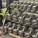 마이티핏 이미지