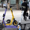 광주전동킥보드 이미지