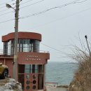 파도리 해수욕장 | 태안 파도리 커피인터뷰 방문후기｜파도리 해수욕장 바다 보이는 카페