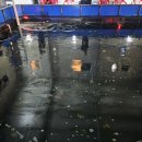 수원 드림바다 실내 낚시터 이미지