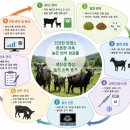 장기 가축인공수정소 | 염소의 번식장애와 산후질환 관리