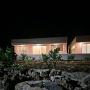 자파리203 이미지