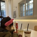 디어어도러블 이미지