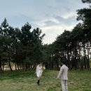 W3. 비엔토 스튜디오 강릉 야외 스냅 촬영 후기