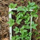 장전길농장 이미지