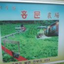 홍문농장 이미지