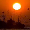 UFC 국제체육관 복싱,무에타이,주짓수,킥복싱,MMA 이미지