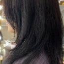 쎄이헤어 이미지