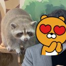 쿤짱 이미지