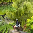 호수가에풍경가든 | 호주 멜버른 로얄 보타닉가든 피크닉 러닝하기 좋은 공원 관광지