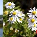 산골마을 영농조합법인 이미지