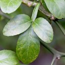 고갯마루 이미지