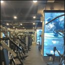 휘트니스엠 선릉점 이미지