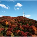 서울단풍길 티스토리