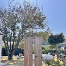 그날저지 이미지