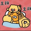 탑월드투어 | [말레이시아 한달살기] 3일째 ...멘탈 털리는날