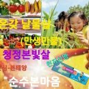 보광만물