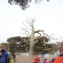 애견종합병원 이미지