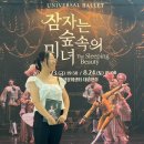 유니버설발레단 잠자는 숲속의 미녀 | 유니버설발레단 공연 : 잠자는 숲속의 미녀 후기 (대구)