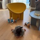 탑성인오락실 | 속초롯데리조트 (2박) : 캐릭터 스위트 / 로티&amp;로리방 + 마키노차야 조식