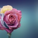 큰길로 행정사 이미지
