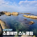 아들바위 | 강릉 스노쿨링 명소 물고기 많은 소돌해변 아들바위 샤워장, 주차 정보
