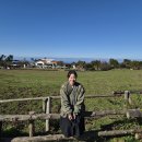 제주빈티지글램핑 | 임신 16주에서 20주 후기