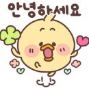 모던방충망 이미지