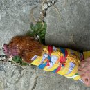 대명산소 이미지