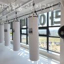 라이언복싱 고등지구점 이미지