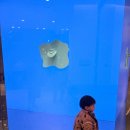 금곡로36번길 17 | 신세계 강남 까르띠에 인상 전 오픈런 성공 러브팔찌 구매, 대기번호 36번 8시호출(26개월, 2개월아기랑)