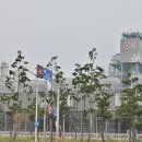 오씨아이씨