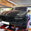 분당-295 이미지