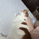 양장축산 이미지