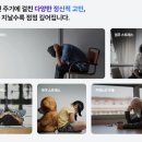 서울진내과의원 이미지