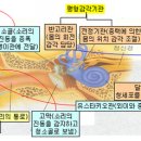 명랑한의원 이미지