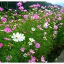 가을바람 이미지