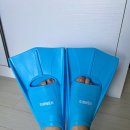 (주)벤디스 | [구매 후기] 벤디스를 거쳐 아레나로의 숏핀 정착기