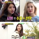시현 이미지