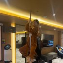 지퍼모텔 | 떠나보낼 준비가 되지 않았다