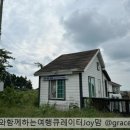 제주토이승마장 이미지