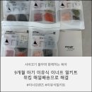 이너프밀 | 9개월 아기 후기 이유식, 이너프 밀키트 위킵 매일배송으로 해결했어요