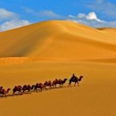 6.29-7.4(5박6일)몽골고비사막 이미지