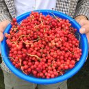 박종훈농장 이미지